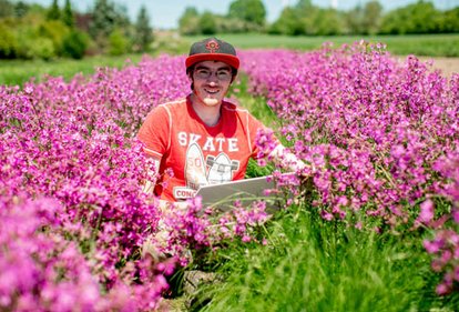 Foto eines Mitarbeiters mit einem Laptop inmitten einer blühenden Anpflanzung